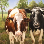 Gypsie and Paisley of Broom's Bloom Dairy and Creamery, 20x24 inches